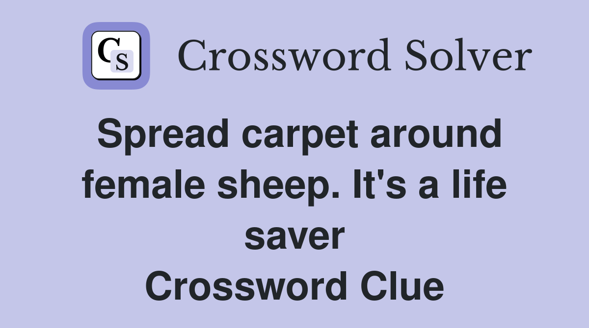 Spread carpet around female sheep. It's a life saver Crossword Clue
